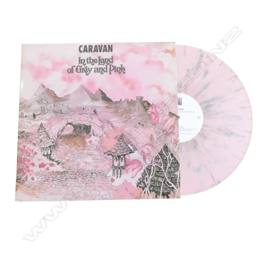 CARAVAN 'IN THE LAND OF GREY' MJJ352 Image 1++